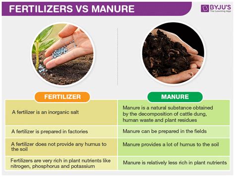 is manure a fertilizer: Can manure be considered a metaphor for growth?